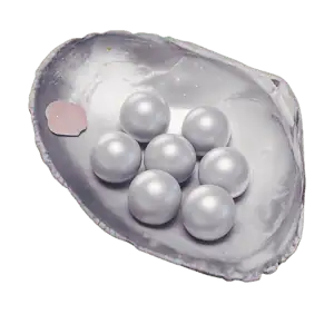 6000 Echo Beads